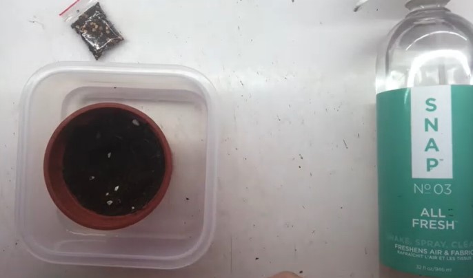 How to make a microgreen kit