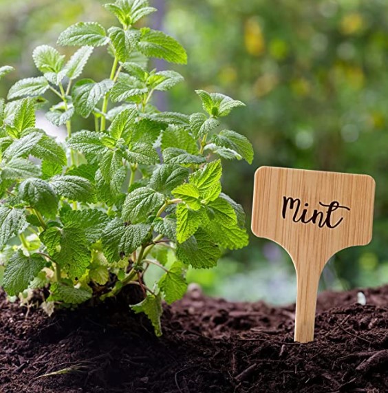 How to label your microgreen seed trays