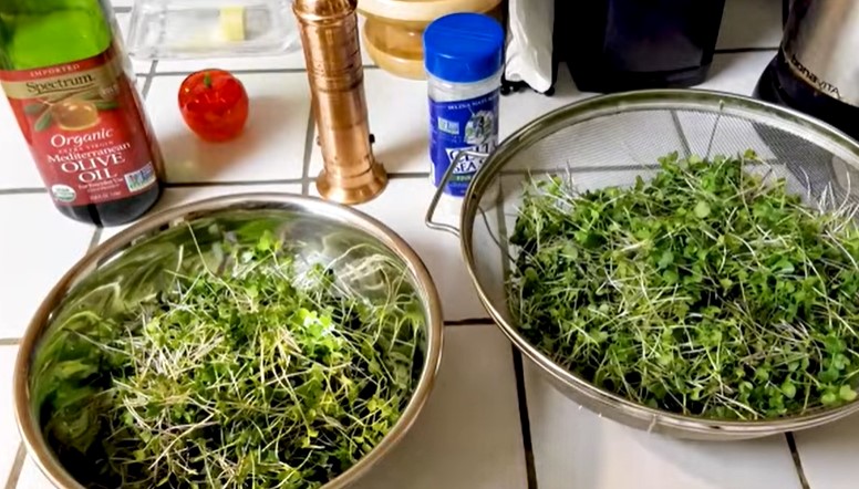 How to microgreen lettuce 6 - how to microgreen lettuce: 8 essential tips for vibrant, healthy greens