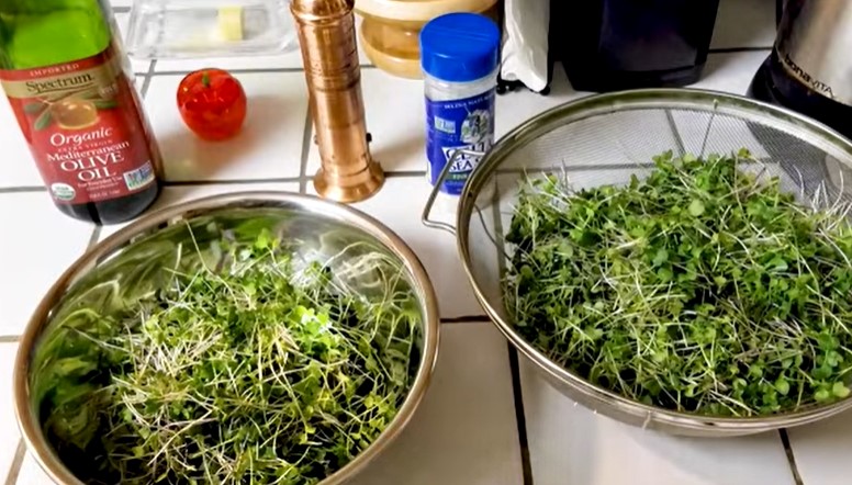 how to microgreen lettuce 6 - How to Microgreen Lettuce: 8 Essential Tips for Vibrant, Healthy Greens