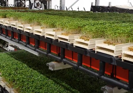 microgreen farm setups 2 - Microgreen Farm Setups: Top 7 Innovative Designs for Optimized Growth