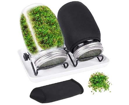 Microgreen garden at home