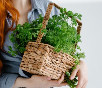 Microgreen Garden at Home