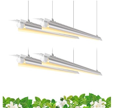 Microgreen grow light