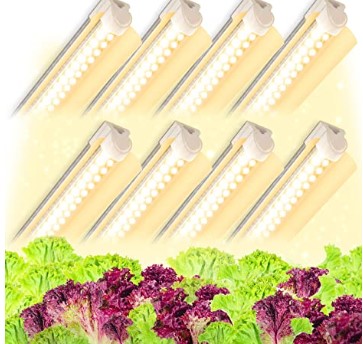 Microgreen grow light