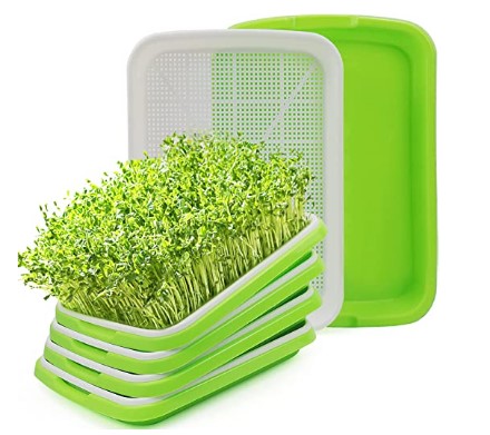 Microgreen tray