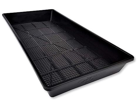 Microgreen tray