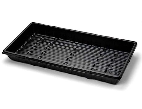 microgreen tray