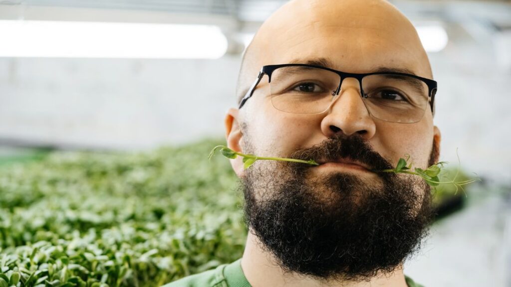 Meet oliver greenfield, a passionate microgreen enthusiast, with years of experience in growing and nurturing microgreens. He shares valuable insights, tips, and techniques to help you cultivate your own thriving microgreen garden. Dive in and learn from his hands-on expertise.