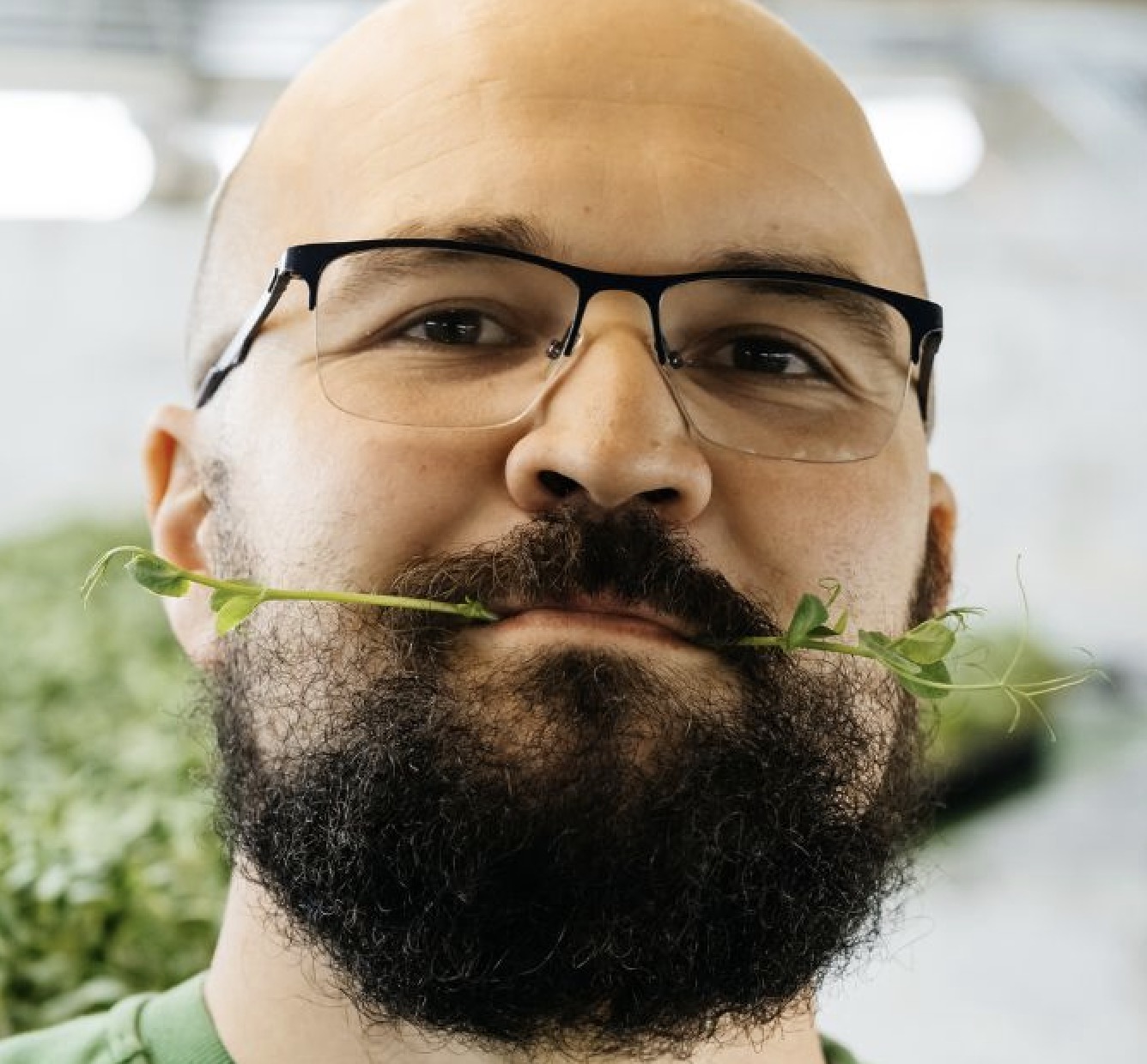 Meet oliver greenfield, a passionate microgreen enthusiast, with years of experience in growing and nurturing microgreens. He shares valuable insights, tips, and techniques to help you cultivate your own thriving microgreen garden. Dive in and learn from his hands-on expertise.