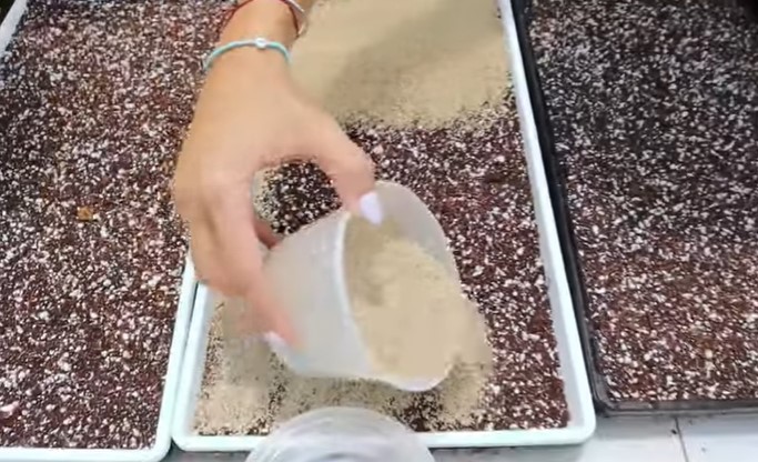 Starting Up a Microgreen Farm