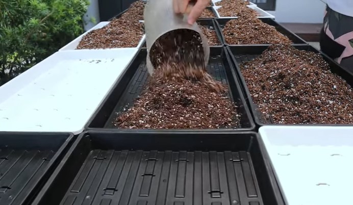 Starting Up a Microgreen Farm